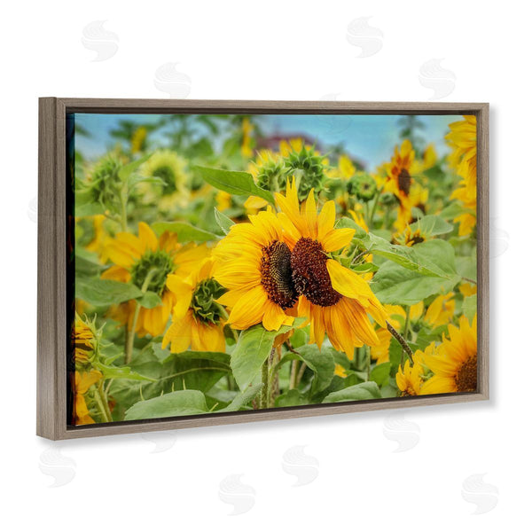 Stupell Industries Carrie Ann Grippo-Pike | Sunflower Field Photography
