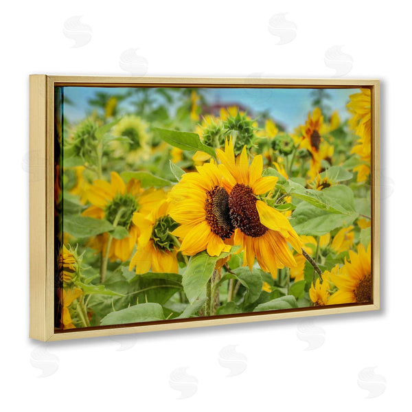 Stupell Industries Carrie Ann Grippo-Pike | Sunflower Field Photography