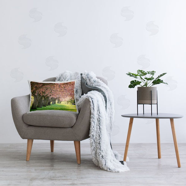 Stupell Industries Carrie Ann Grippo-Pike | Sunlit Blossoming Trees