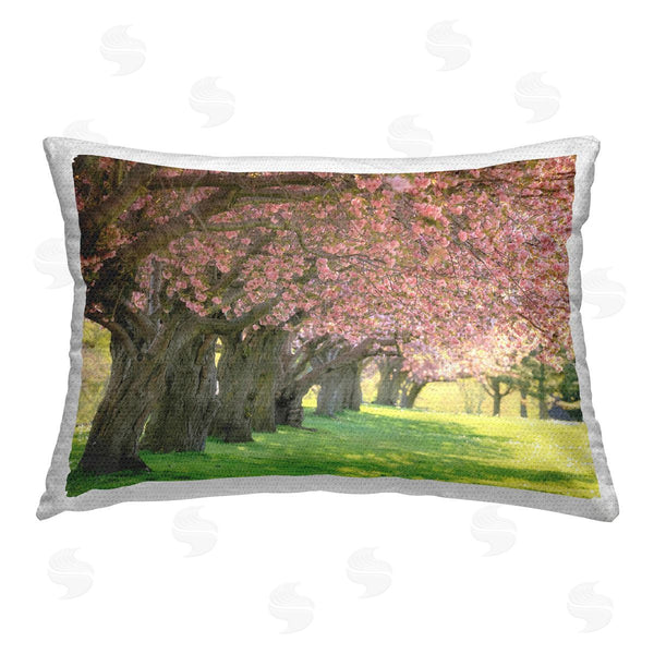 Stupell Industries Carrie Ann Grippo-Pike | Sunlit Blossoming Trees