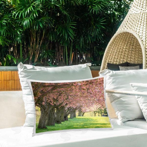 Stupell Industries Carrie Ann Grippo-Pike | Sunlit Blossoming Trees