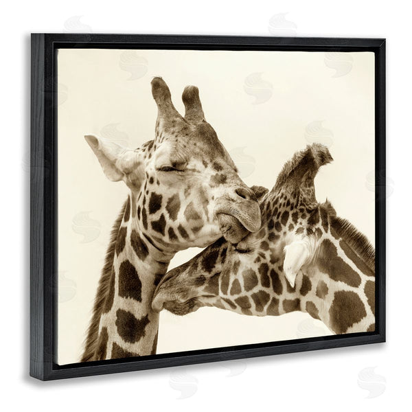 Stupell Industries Carrie Ann Grippo-Pike | Sweet Cuddling Giraffes Sepia Wildlife Photography Portrait Wall Art