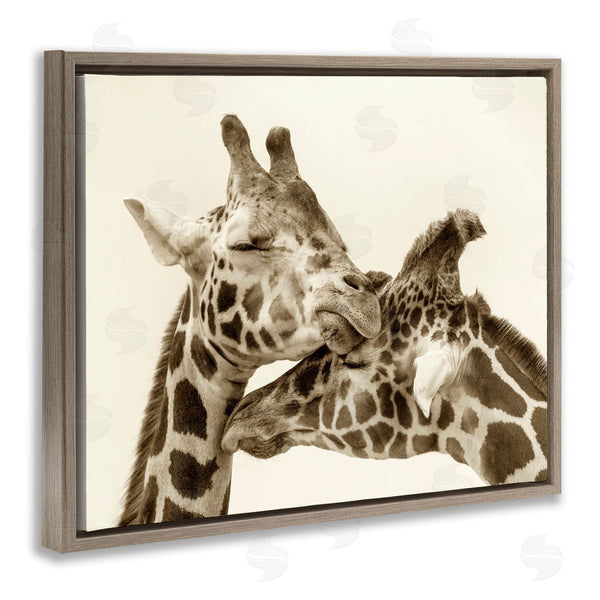 Stupell Industries Carrie Ann Grippo-Pike | Sweet Cuddling Giraffes Sepia Wildlife Photography Portrait Wall Art