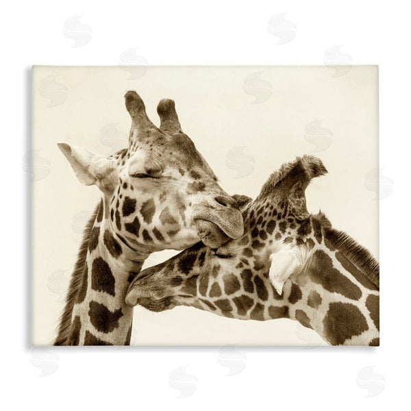 stupell industries Carrie Ann Grippo-Pike | Sweet Cuddling Giraffes Sepia Wildlife Photography Portrait Wall Art