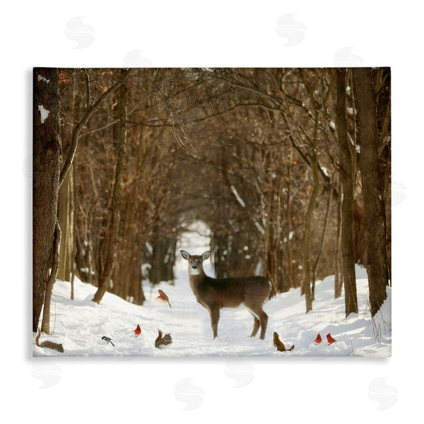 stupell industries Carrie Ann Grippo-Pike | Wild Forest Animals Gathered Amidst Snowy Trees Wall Art