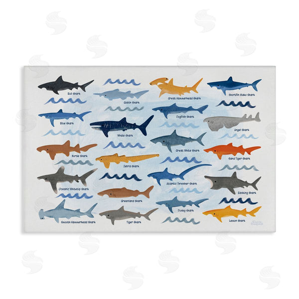 stupell industries Carrie Cantwell | Various Shark Breeds