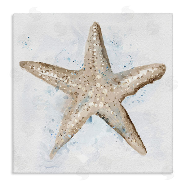 stupell industries Carson Lyons | Bubbly Beige Starfish
