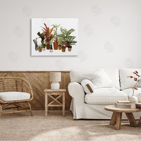 Stupell Industries Cassia Beck | Varied Terracotta Potted House Plants Floral Person Collage Wall Art