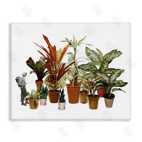 stupell industries Cassia Beck | Varied Terracotta Potted House Plants Floral Person Collage Wall Art