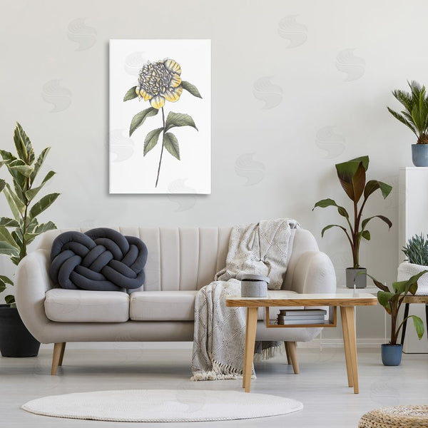 Stupell Industries Cecilia Battaini | Camellia Flower Illustration Wall Art