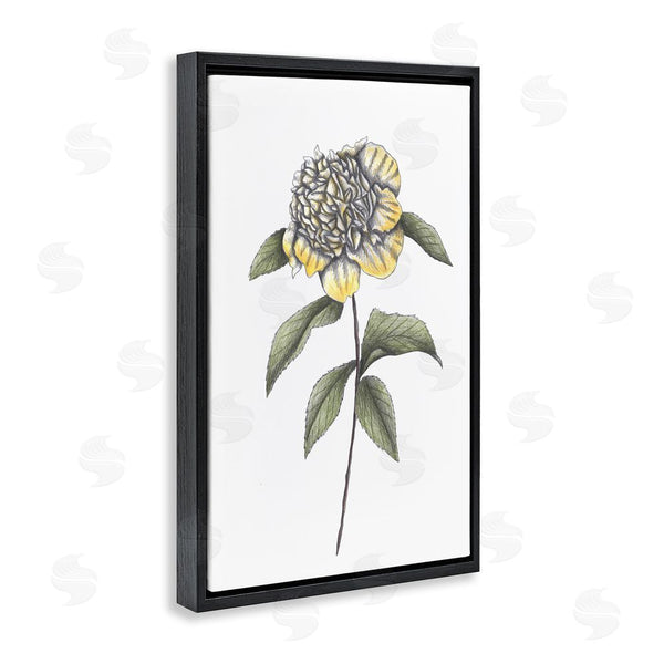 Stupell Industries Cecilia Battaini | Camellia Flower Illustration Wall Art