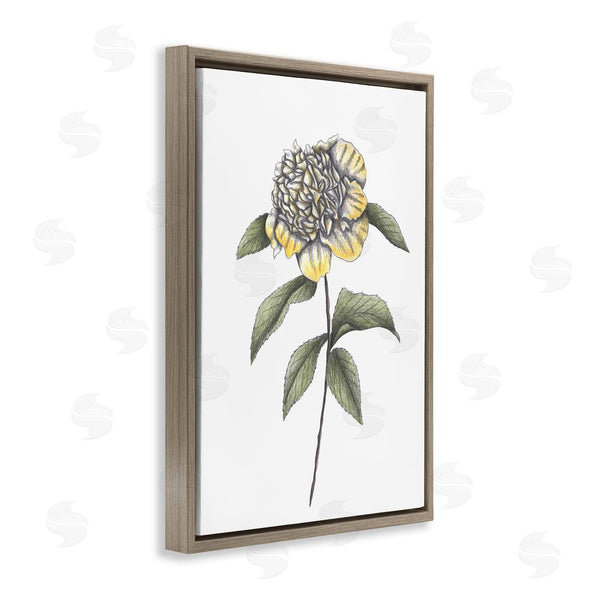Stupell Industries Cecilia Battaini | Camellia Flower Illustration Wall Art