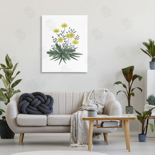 Stupell Industries Cecilia Battaini | Dandelion Flower Illustration Wall Art