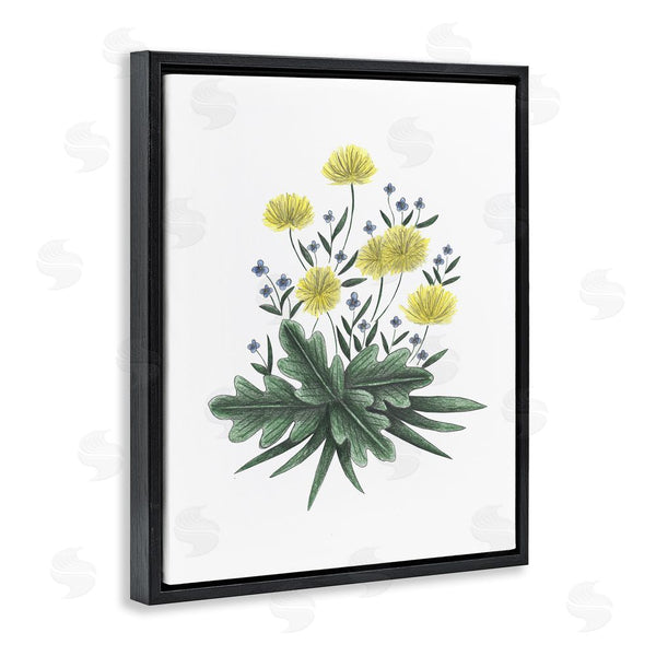 Stupell Industries Cecilia Battaini | Dandelion Flower Illustration Wall Art