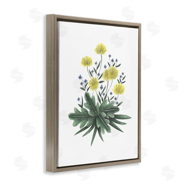 Stupell Industries Cecilia Battaini | Dandelion Flower Illustration Wall Art