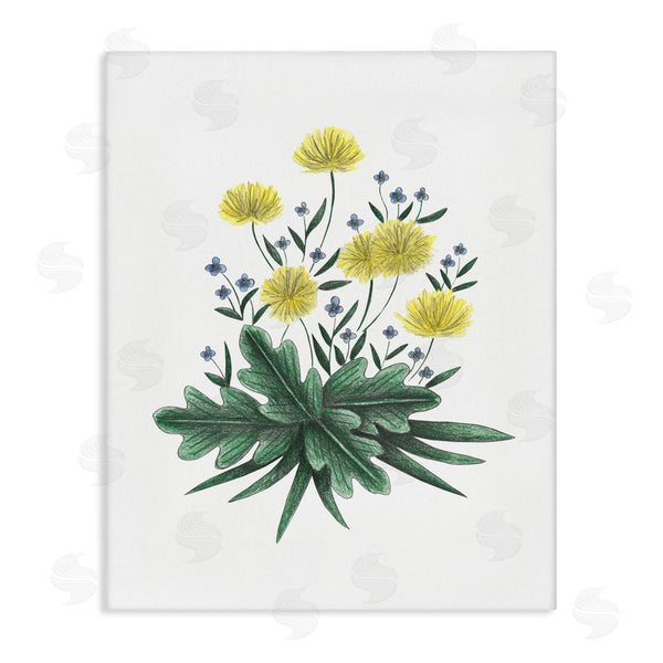 stupell industries Cecilia Battaini | Dandelion Flower Illustration Wall Art
