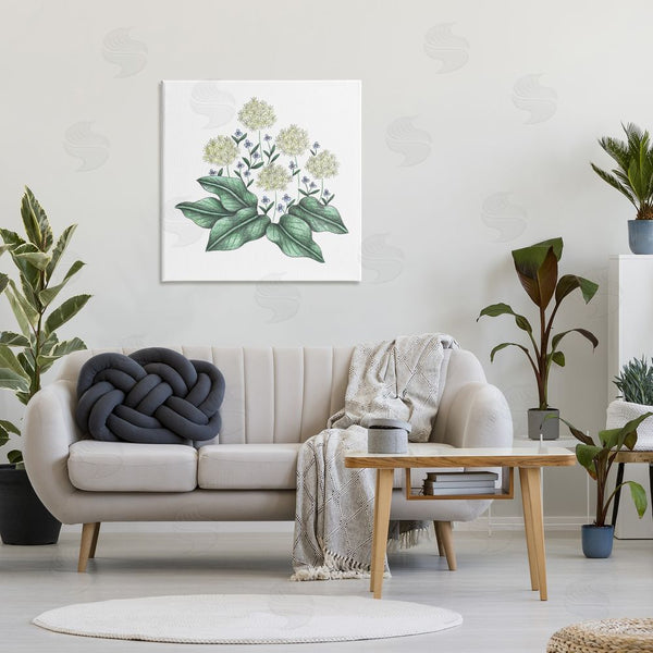 Stupell Industries Cecilia Battaini | Hello Wildflower Vintage Sketch Wall Art