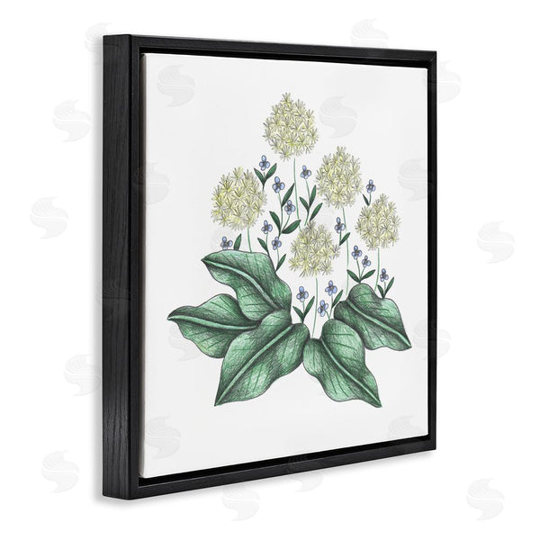 Stupell Industries Cecilia Battaini | Hello Wildflower Vintage Sketch Wall Art