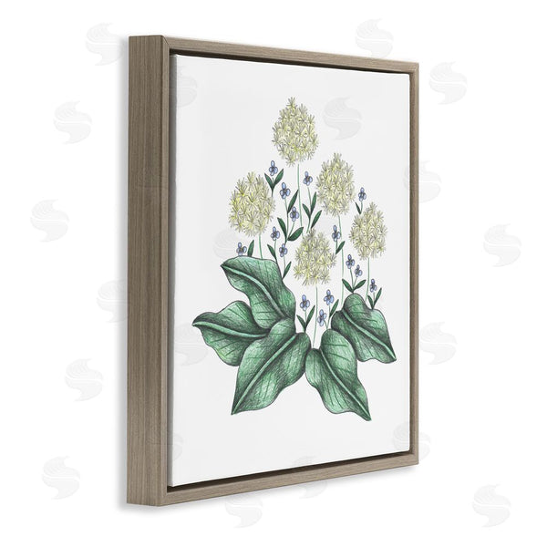 Stupell Industries Cecilia Battaini | Hello Wildflower Vintage Sketch Wall Art