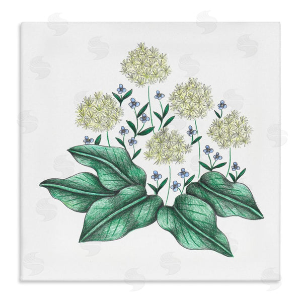 stupell industries Cecilia Battaini | Hello Wildflower Vintage Sketch Wall Art