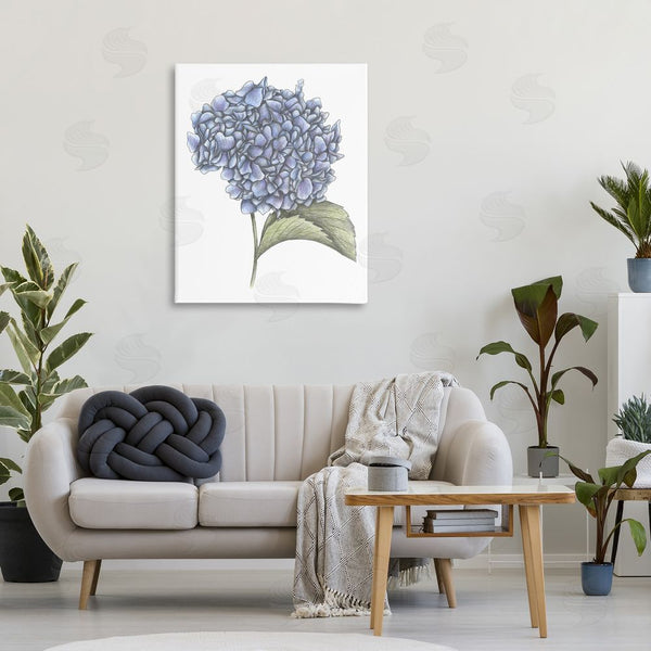 Stupell Industries Cecilia Battaini | Hydrangea Sketch Blossom Wall Art