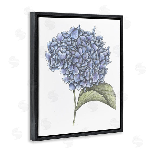 Stupell Industries Cecilia Battaini | Hydrangea Sketch Blossom Wall Art