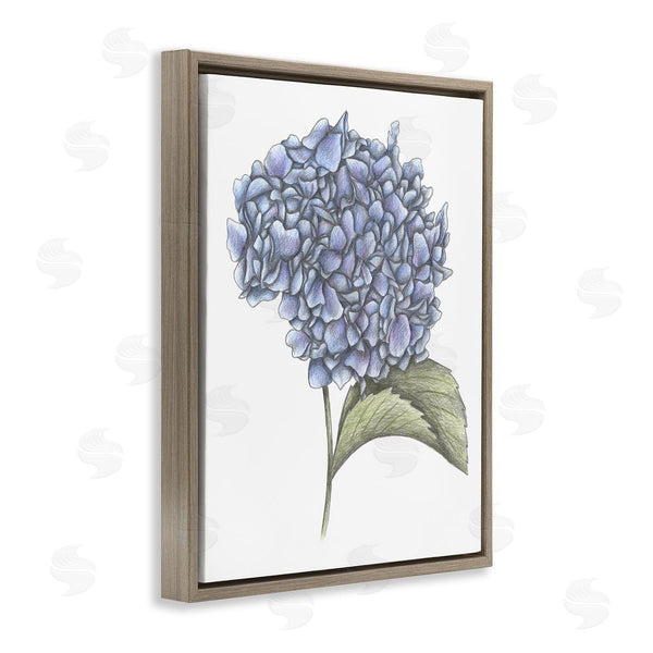 Stupell Industries Cecilia Battaini | Hydrangea Sketch Blossom Wall Art
