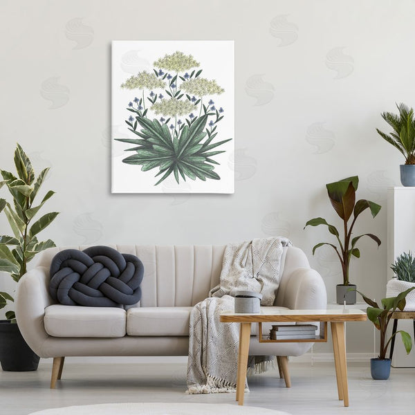 Stupell Industries Cecilia Battaini | New Roots Vintage Sketch Wall Art