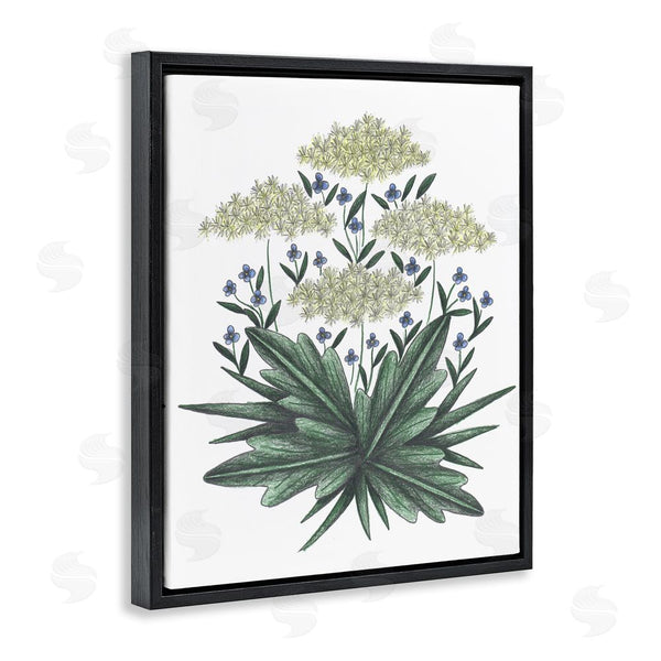 Stupell Industries Cecilia Battaini | New Roots Vintage Sketch Wall Art