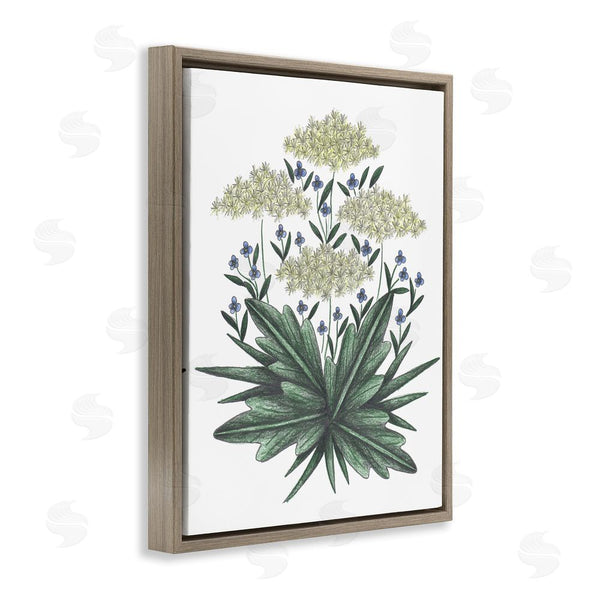 Stupell Industries Cecilia Battaini | New Roots Vintage Sketch Wall Art
