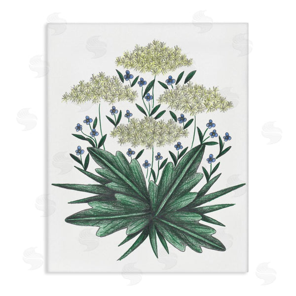 stupell industries Cecilia Battaini | New Roots Vintage Sketch Wall Art