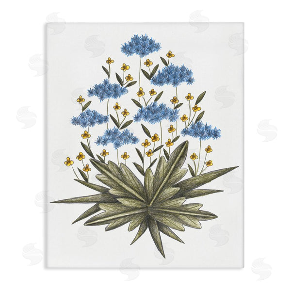 stupell industries Cecilia Battaini | Where Wild Flowers Bloom Wall Art