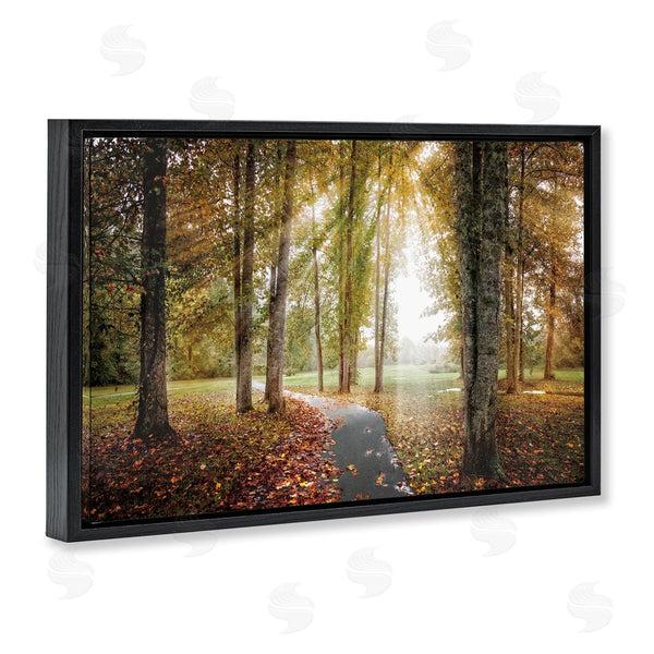 Stupell Industries Celebrate Life Gallery | Follow The Light Forest Path