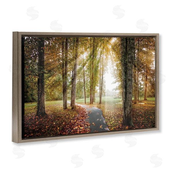 Stupell Industries Celebrate Life Gallery | Follow The Light Forest Path