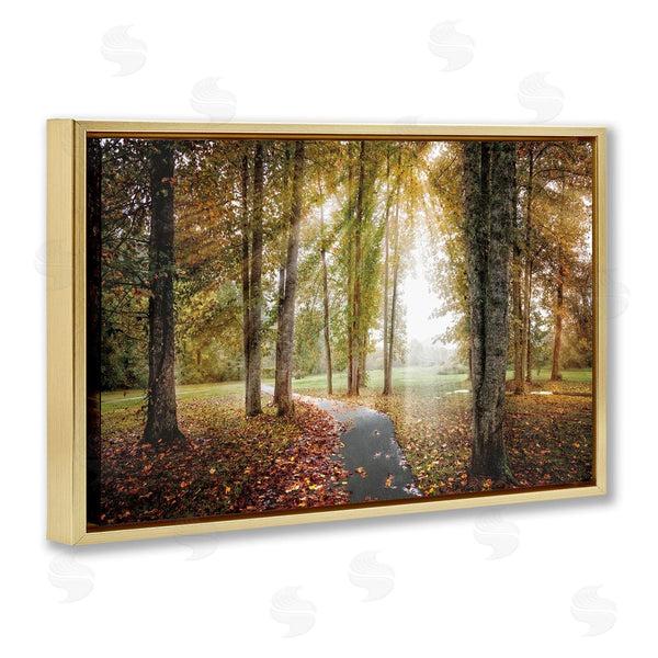 Stupell Industries Celebrate Life Gallery | Follow The Light Forest Path