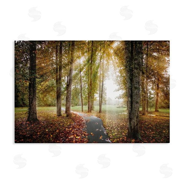 stupell industries Celebrate Life Gallery | Follow The Light Forest Path