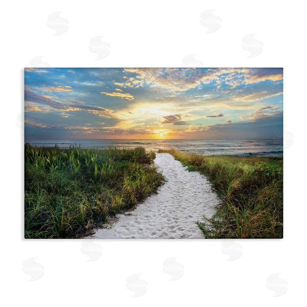 stupell industries Celebrate Life Gallery | Morning Trail To Beach