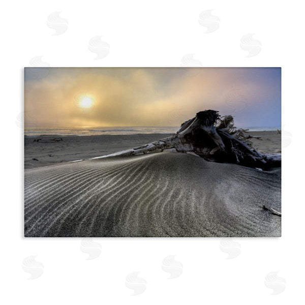 stupell industries Celebrate Life Gallery | Sand Wrinkles Desert View