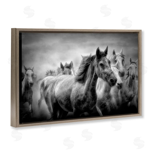 Stupell Industries Celebrate Life Gallery | Sunset Wildlife Horses