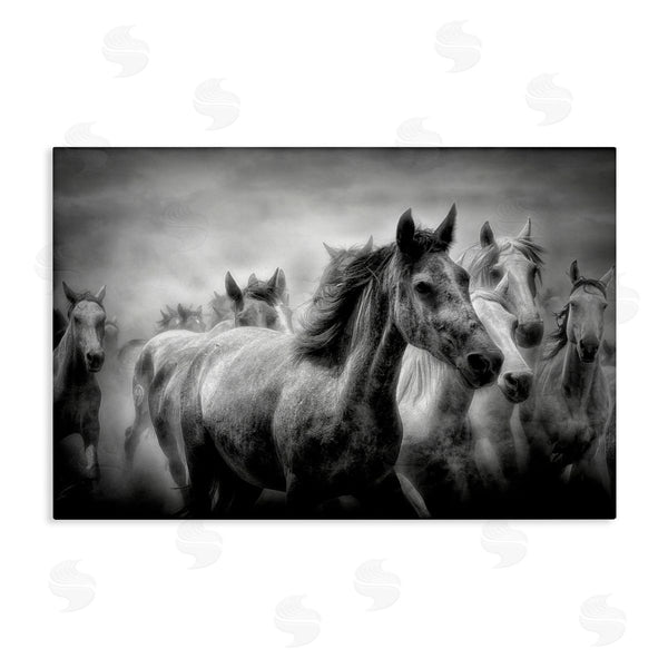 stupell industries Celebrate Life Gallery | Sunset Wildlife Horses