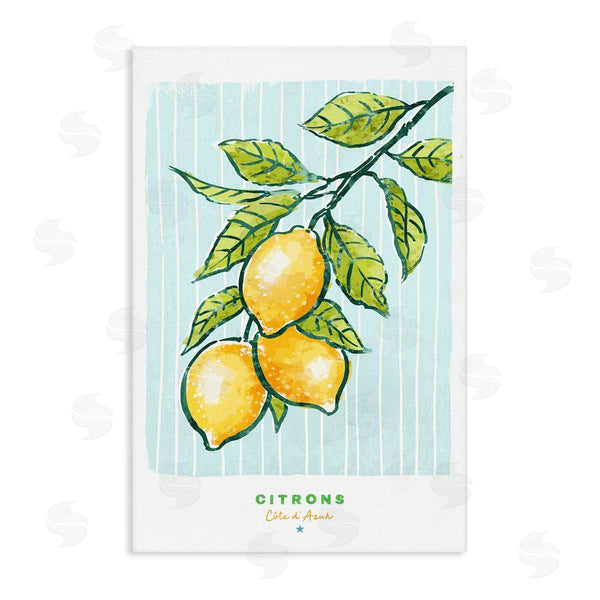 stupell industries Chad Barrett | Modern Bistro Lemons