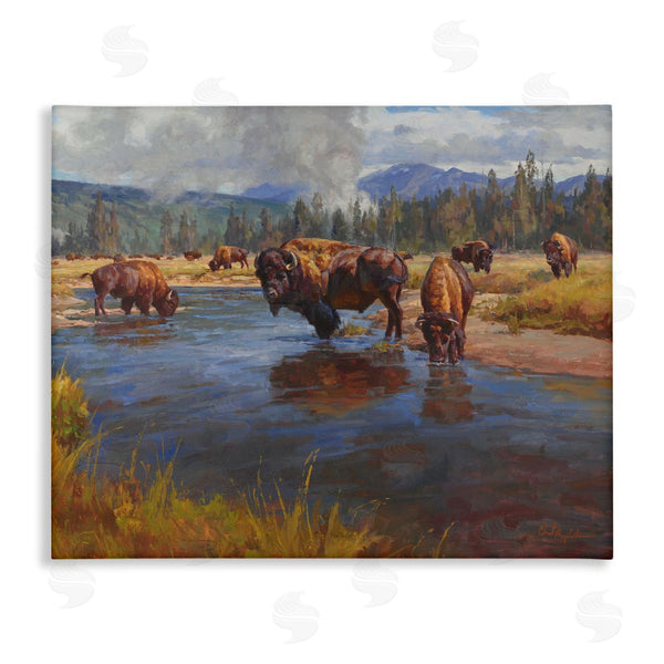 stupell industries Chad Poppleton | Bison Herd by River Wall Art