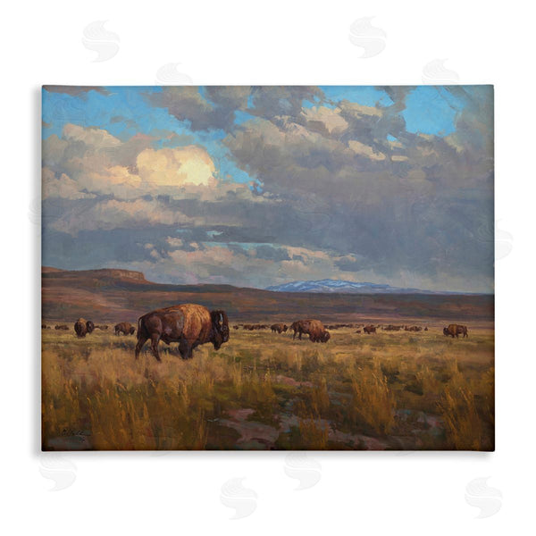 stupell industries Chad Poppleton | Buffalo Cloudy Landscape