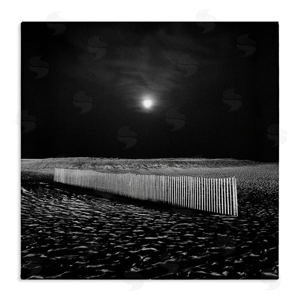 stupell industries Chip Forelli | Beach Fence at Night