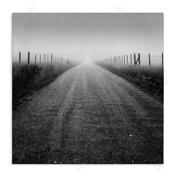 stupell industries Chip Forelli | Foggy Country Road Wall Art