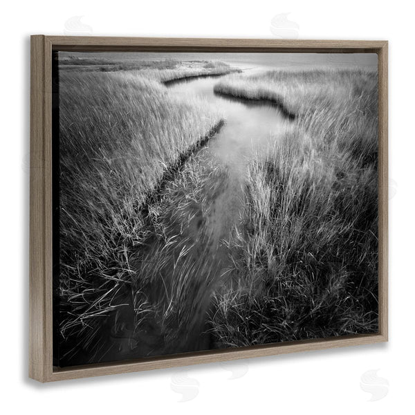 Stupell Industries Chip Forelli | Meandering Estuary View Wall Art