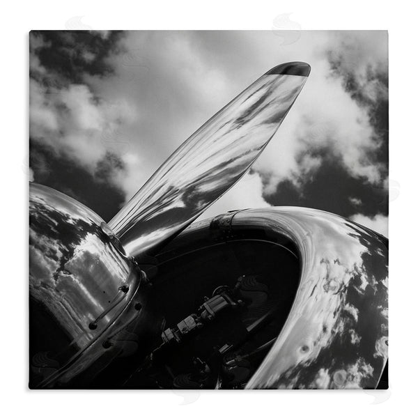stupell industries Chip Forelli | Propeller with Cloud Reflection Wall Art