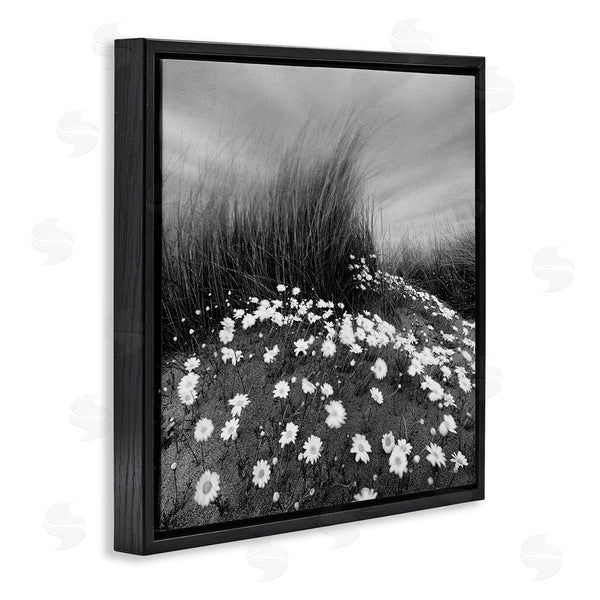 Stupell Industries Chip Forelli | Sand Daisies On Hill