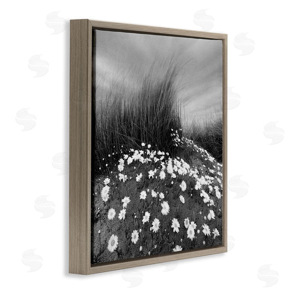 Stupell Industries Chip Forelli | Sand Daisies On Hill