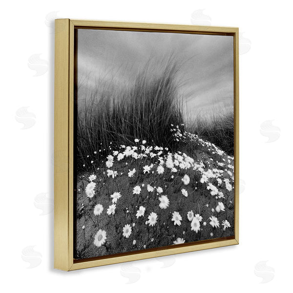 Stupell Industries Chip Forelli | Sand Daisies On Hill